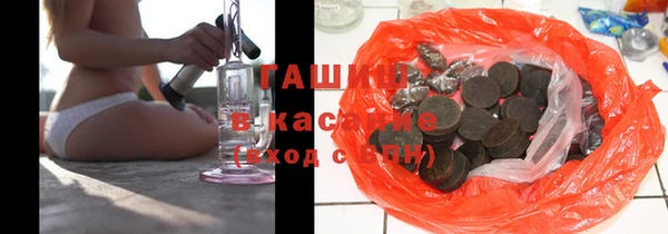 индика Алексин