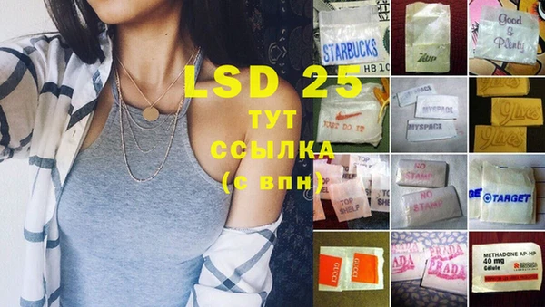 индика Алексин