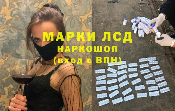индика Алексин