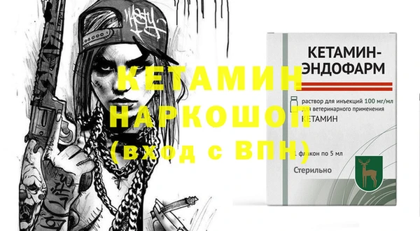 индика Алексин