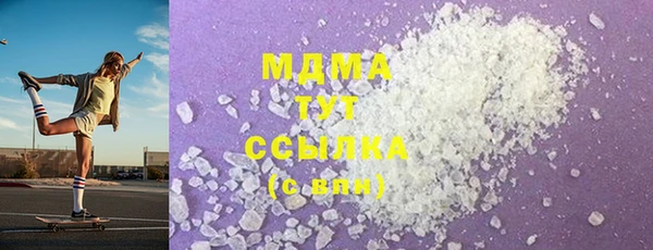 индика Алексин