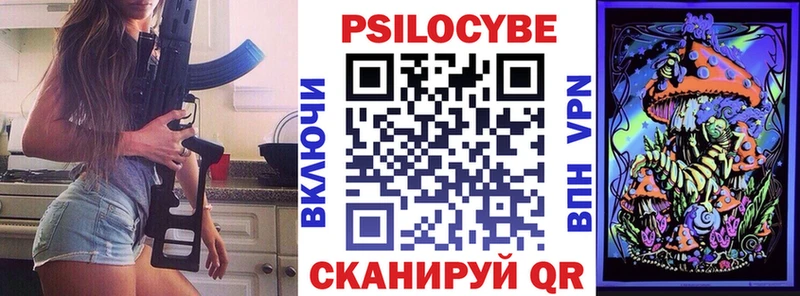 Галлюциногенные грибы Psilocybe  Курчалой 